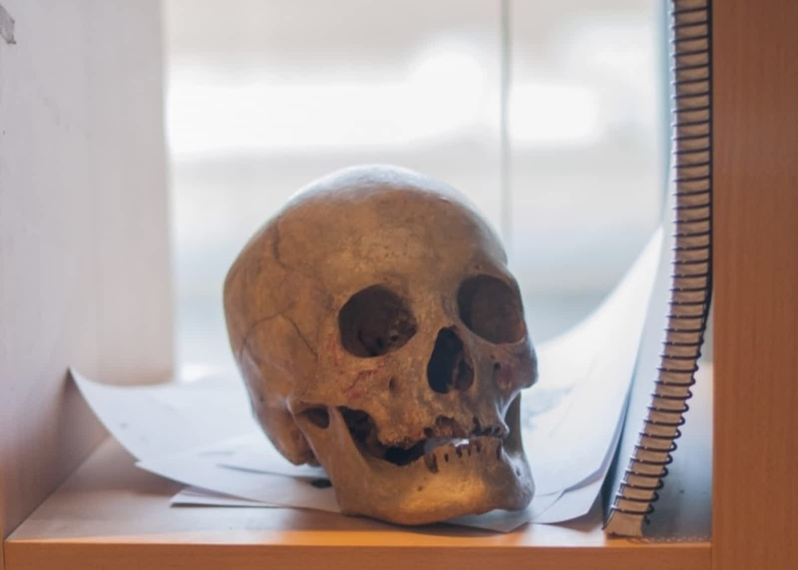 Photo credit: yellowpages.ca