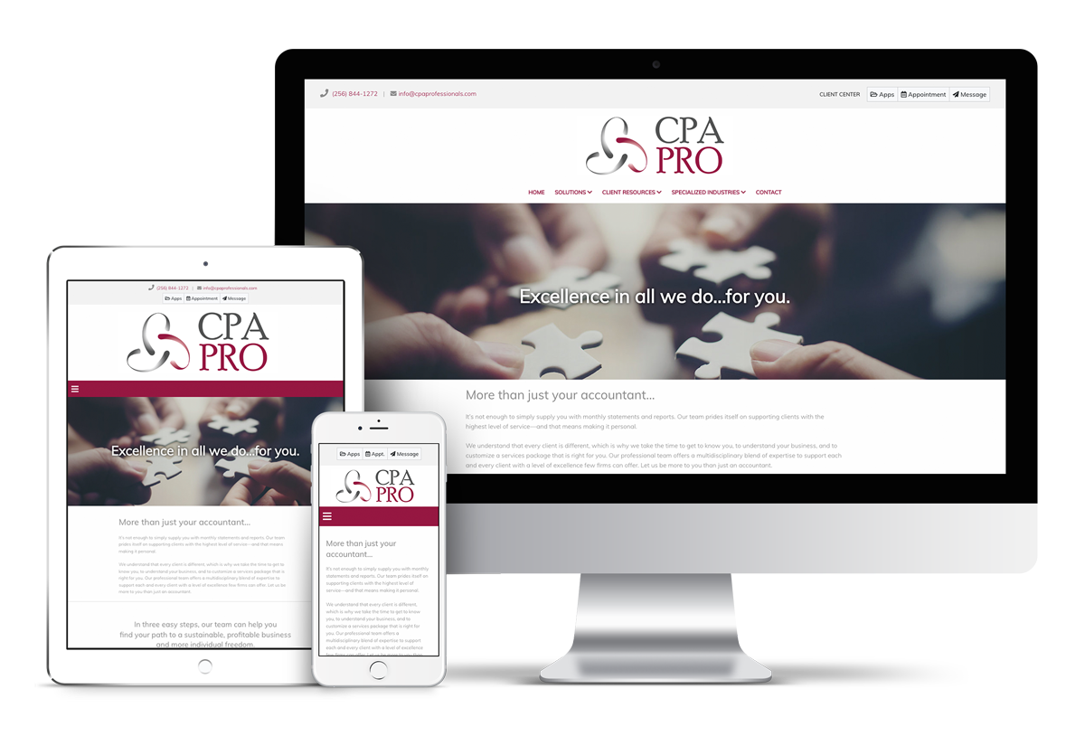 CPA Professionals, Inc.