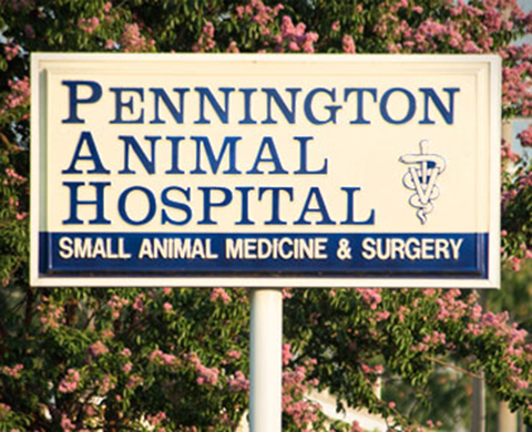 Midtown Veterinary Practice (formerly Pennington Animal Hospital)