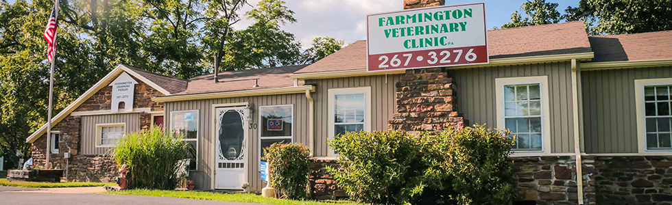 Farmington Veterinary Clinic, A Thrive Pet Healthcare Partner