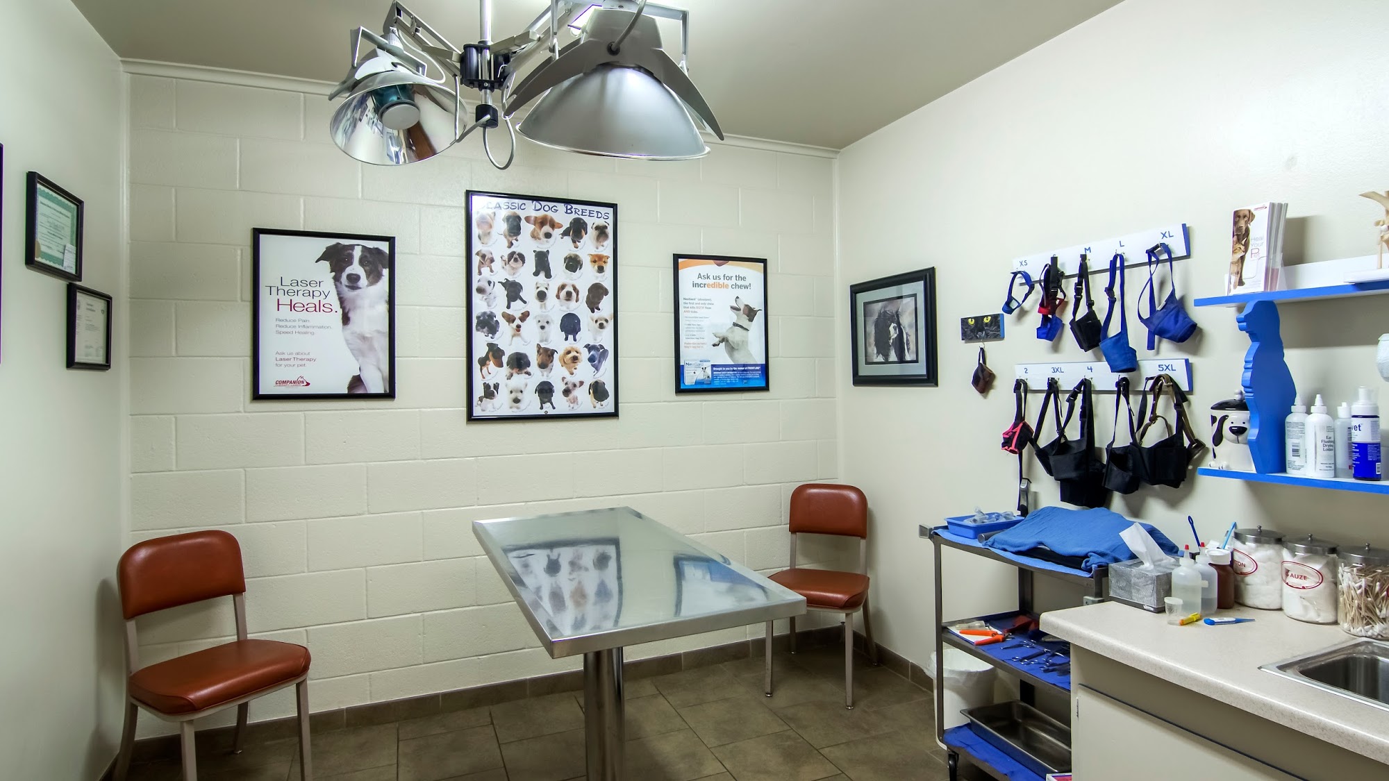 Little Rock Veterinary Clinic