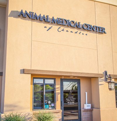 Animal Medical Center of Chandler