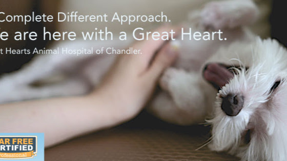 Great Hearts Animal Hospital of Chandler