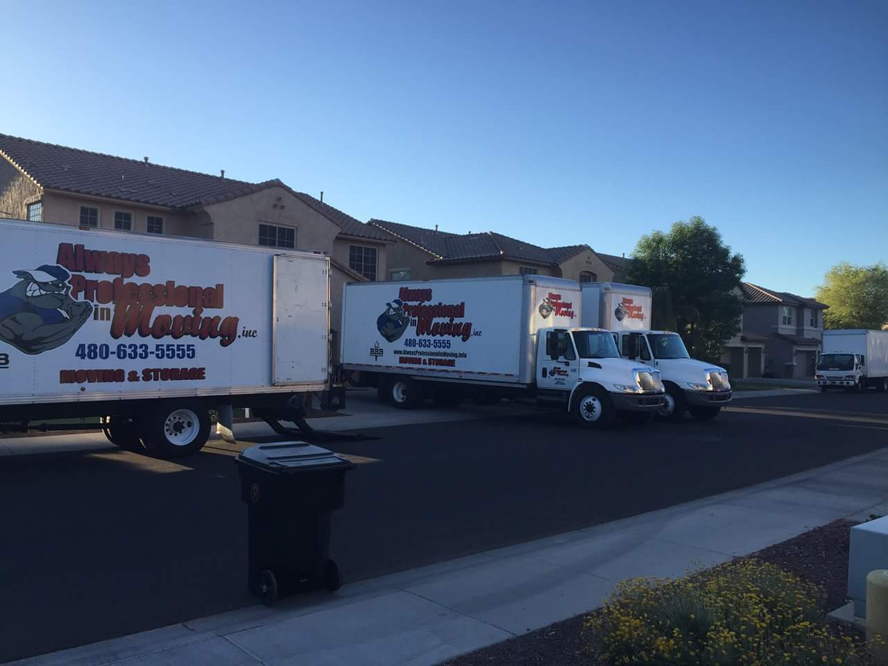 Always Professional In Moving, Inc.