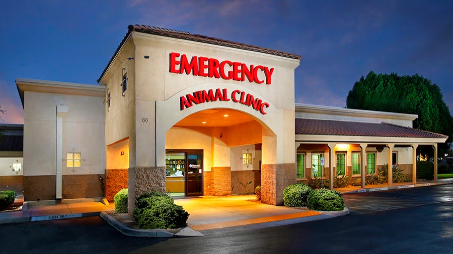 Arizona Veterinary Emergency & Critical Care Center