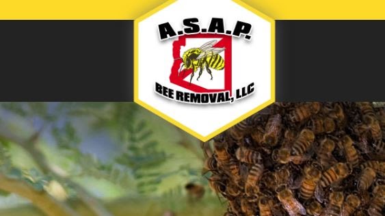 A.S.A.P. Bee Removal, LLC
