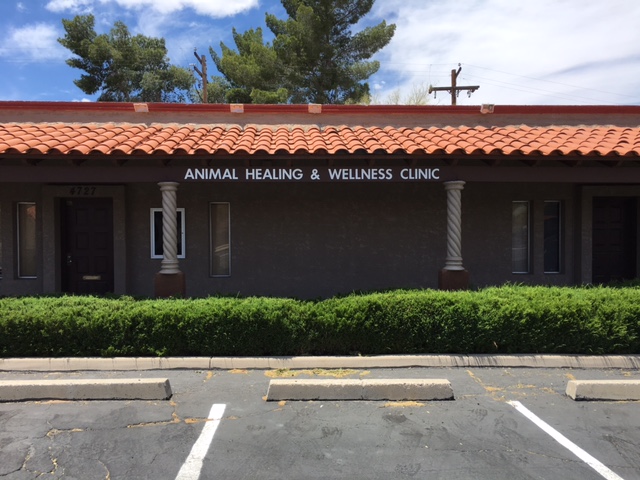 Animal Healing and Wellness Clinic
