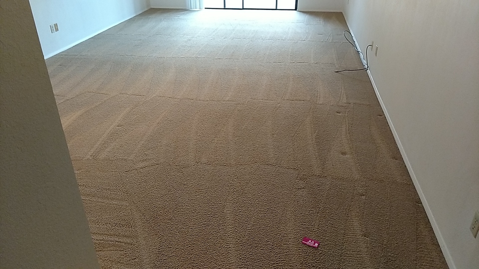 AquaSafe Carpet and Tile Cleaning