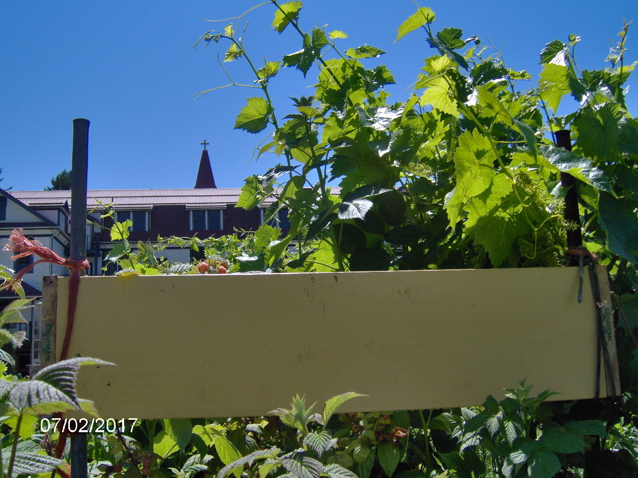 Photo credit: yellowpages.ca