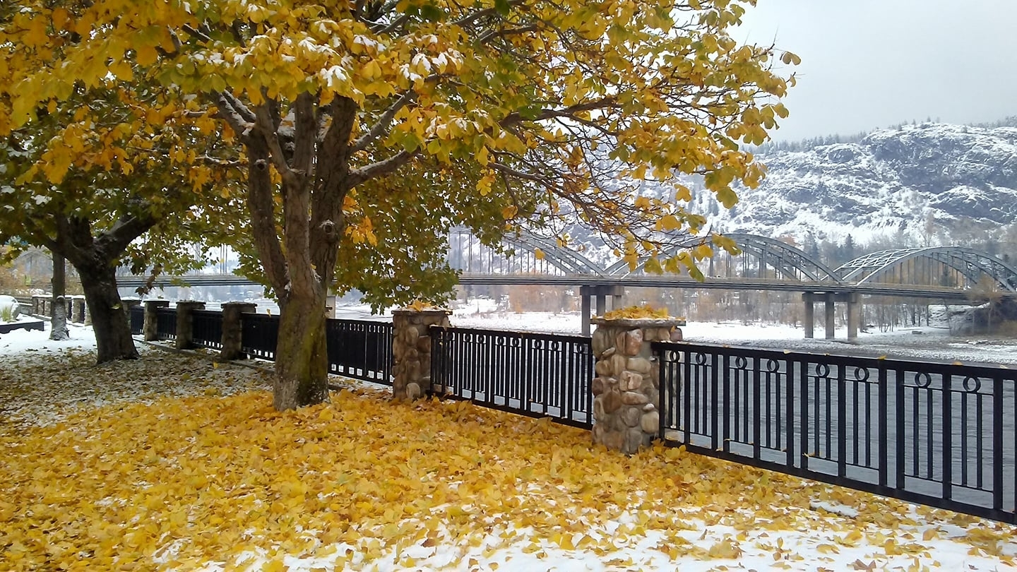 Photo credit: yellowpages.ca