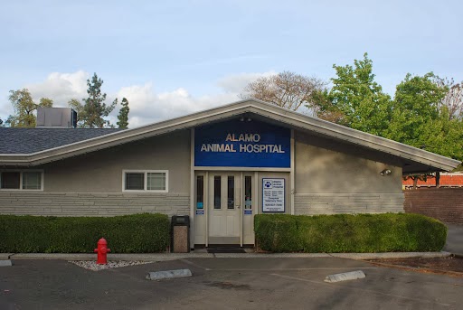 Alamo Animal Hospital