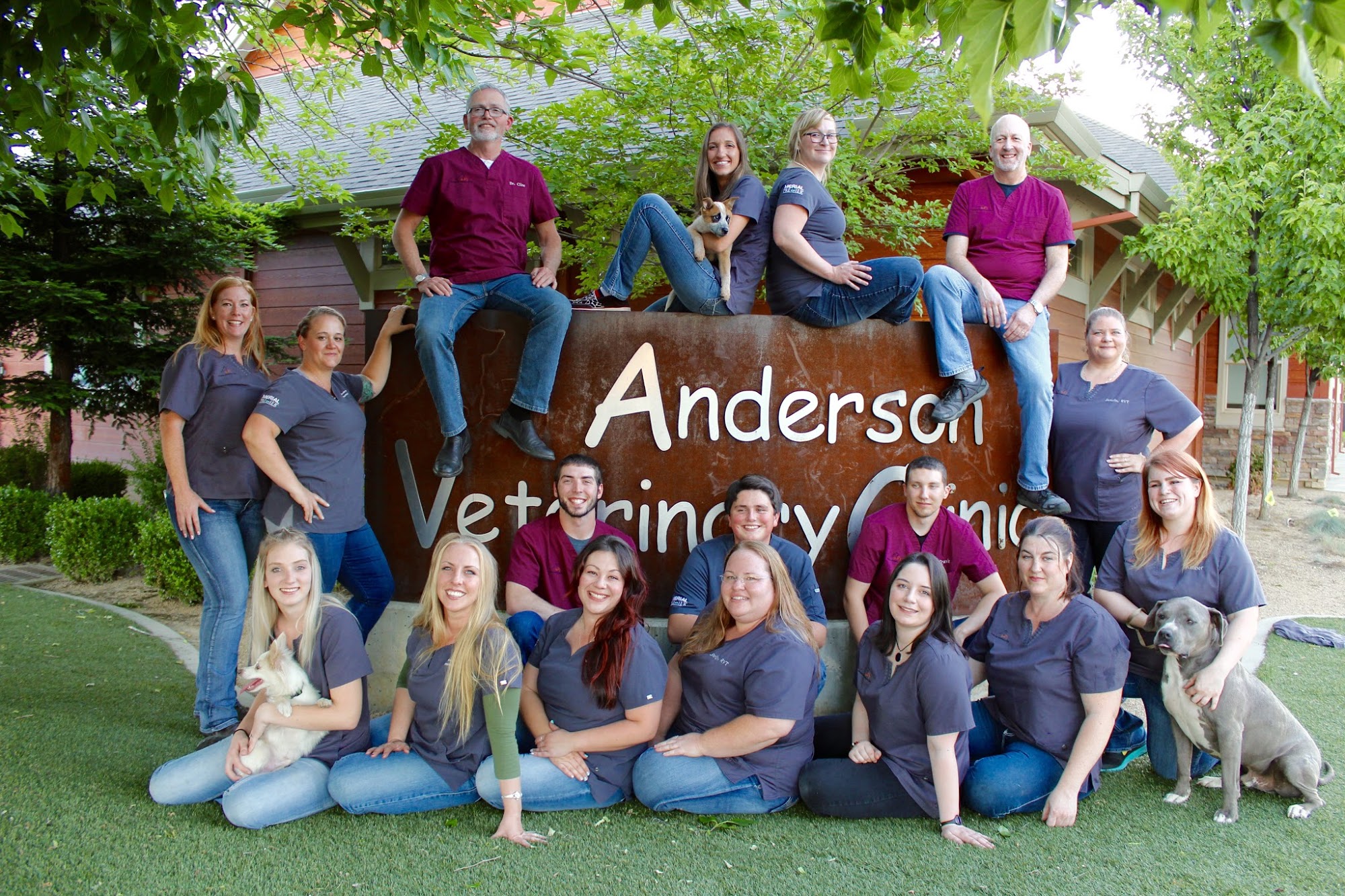 Anderson Veterinary Clinic, A Thrive Pet Healthcare Partner