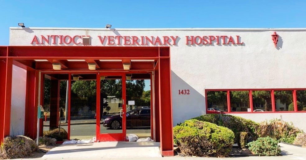 VCA Antioch Animal Hospital - 10th Street