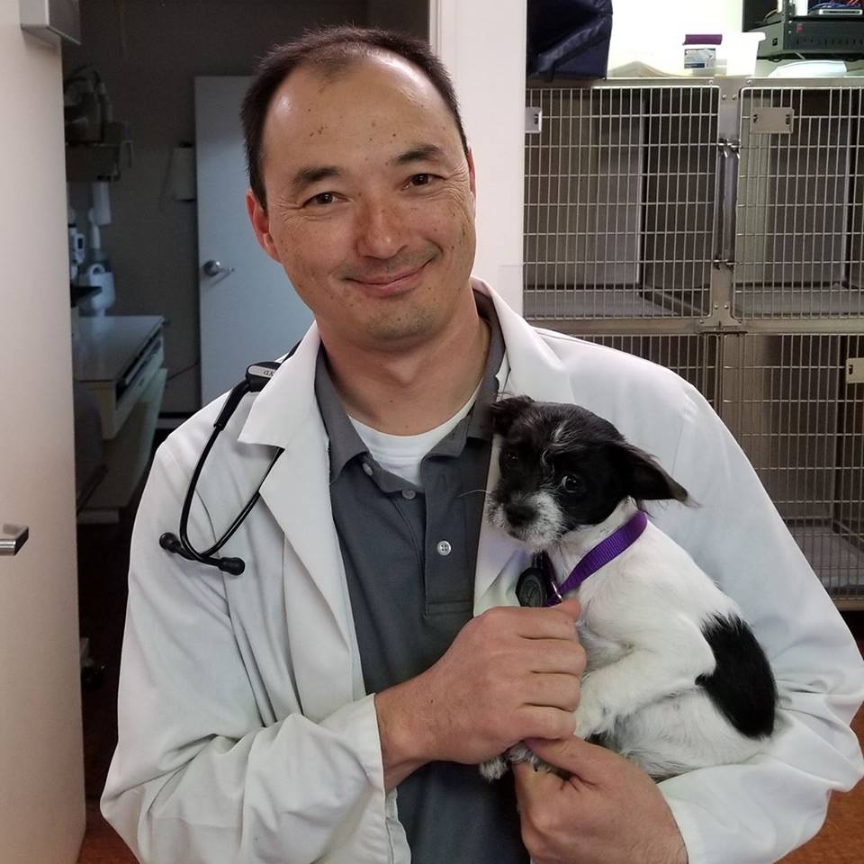 Animal Care Hospital: Dr. Ron Boyd