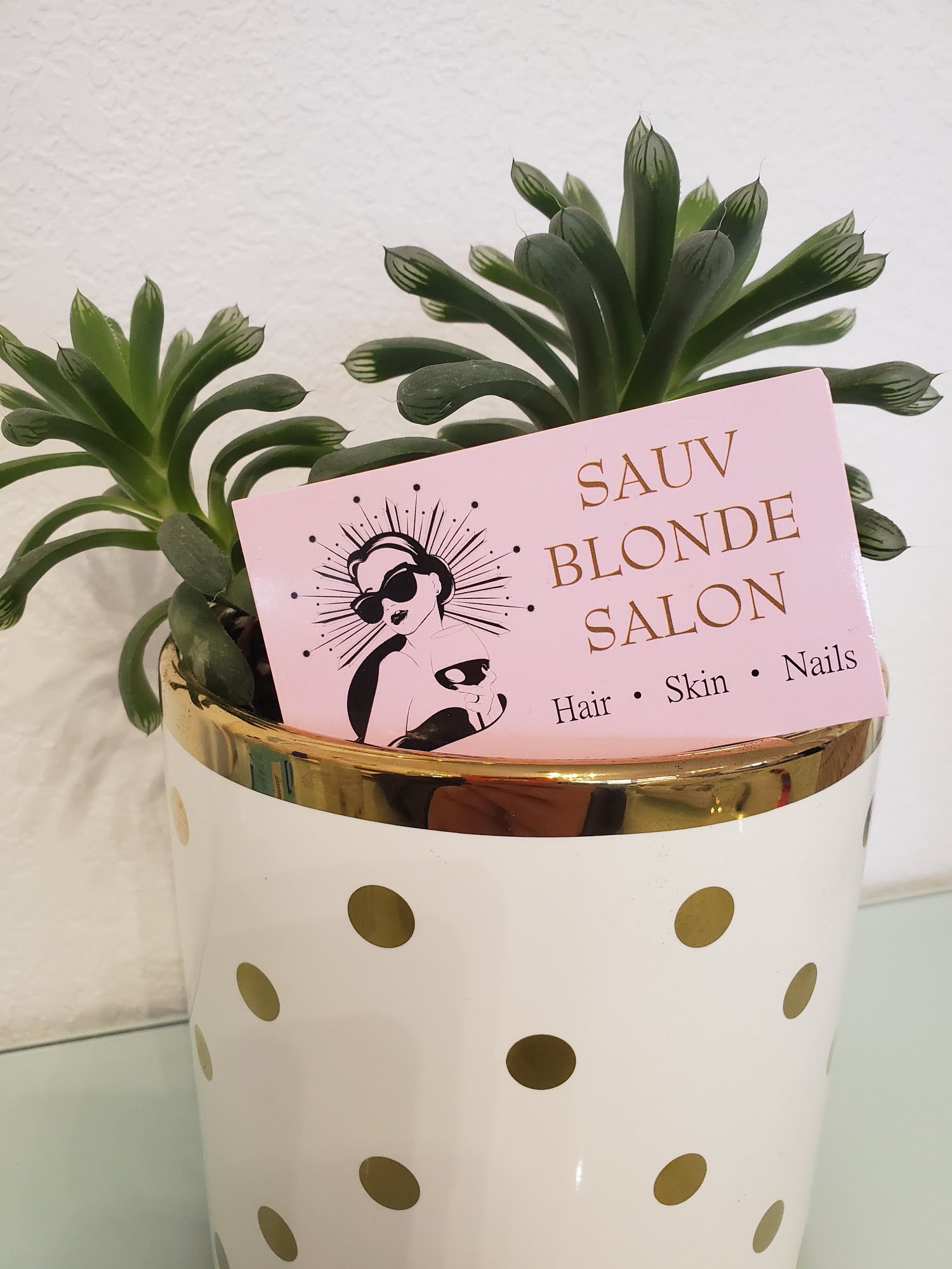 Sauv Blonde Salon