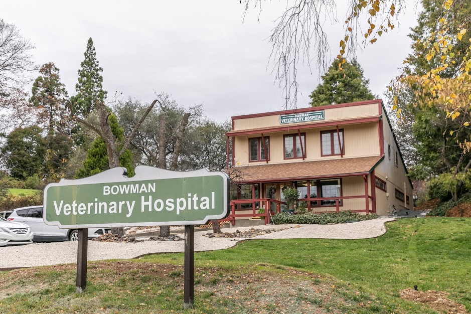 Bowman Veterinary Hospital