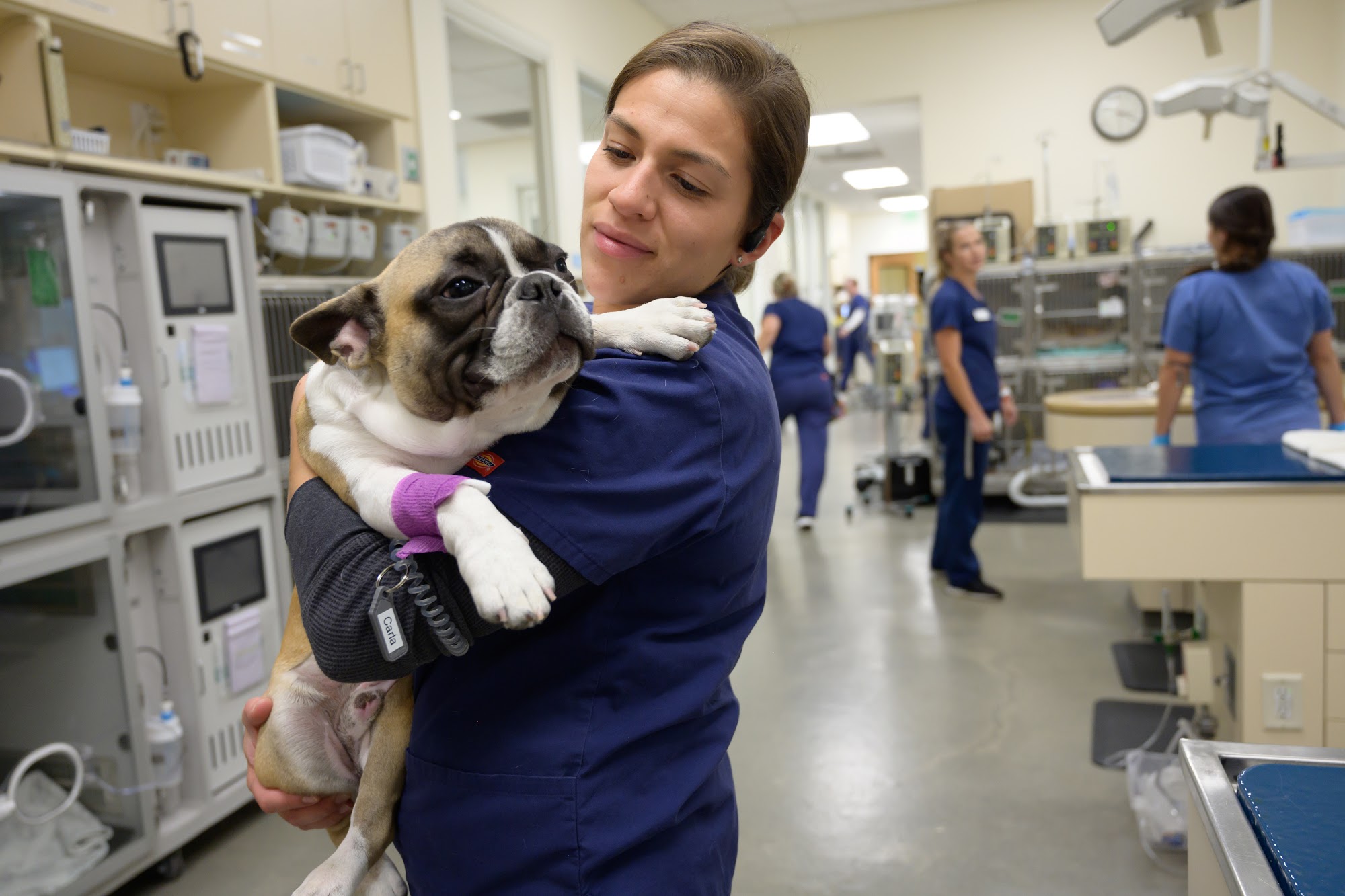 VCA California Veterinary Specialists-Carlsbad