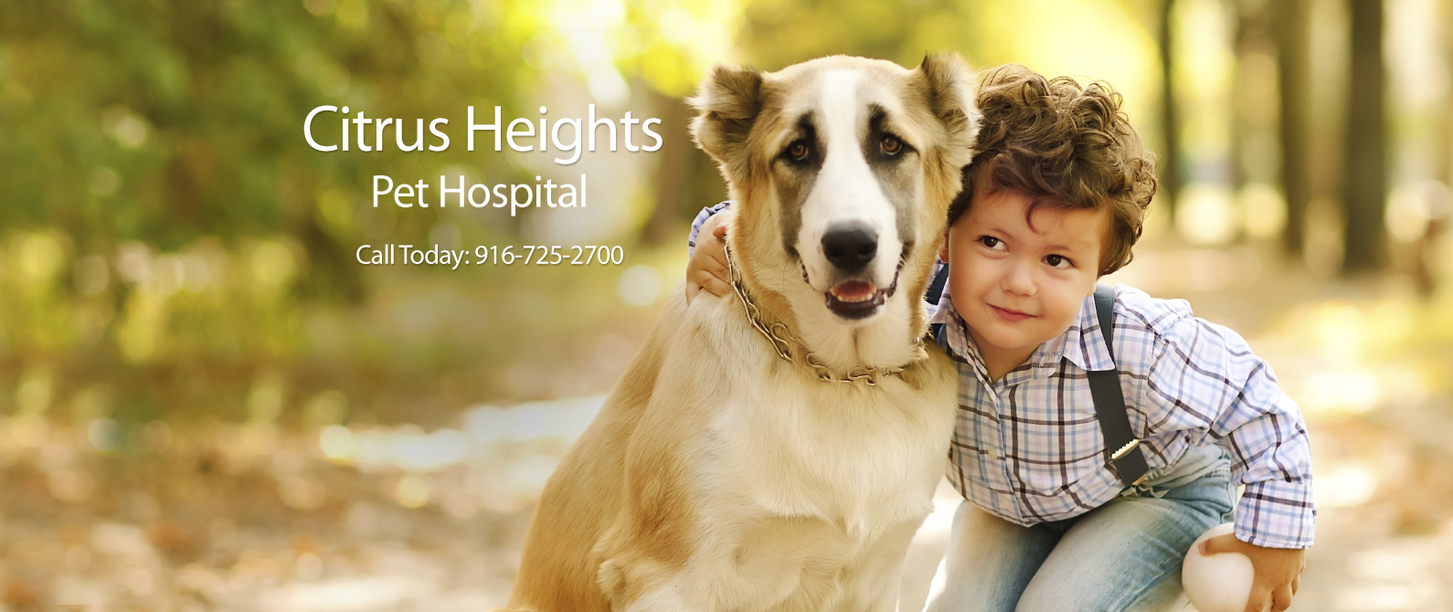 Citrus Heights Pet Hospital