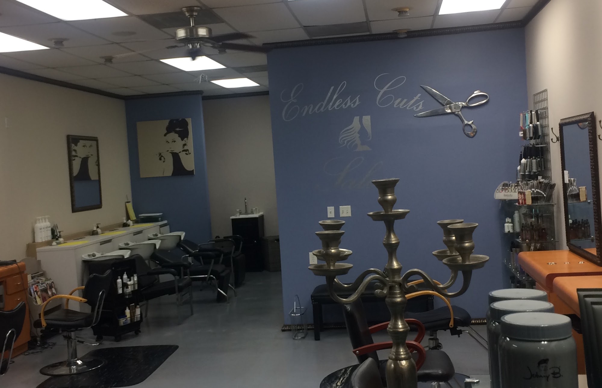 Endless Cuts Salon and Blow-Out Bar