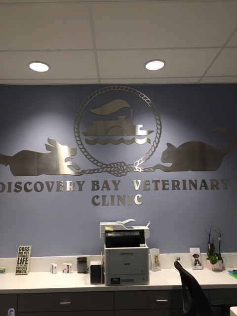 Discovery Bay Veterinary Clinic