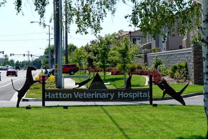 Hatton Veterinary Hospital