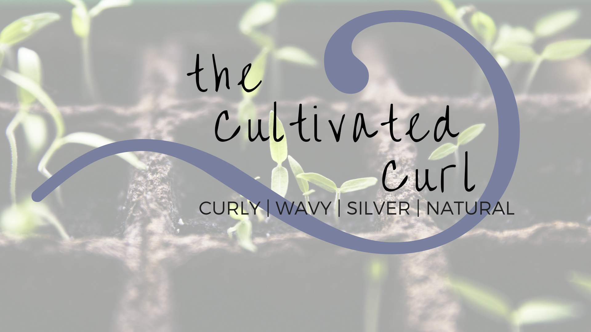 The Cultivated Curl