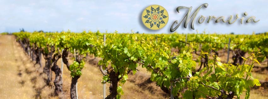 Moravia Wines & Event Venue