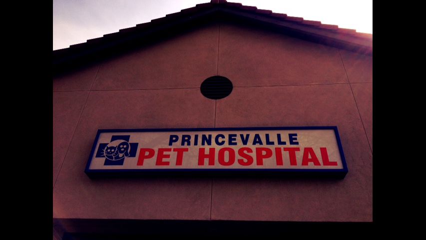 Princevalle Pet Hospital, Inc.