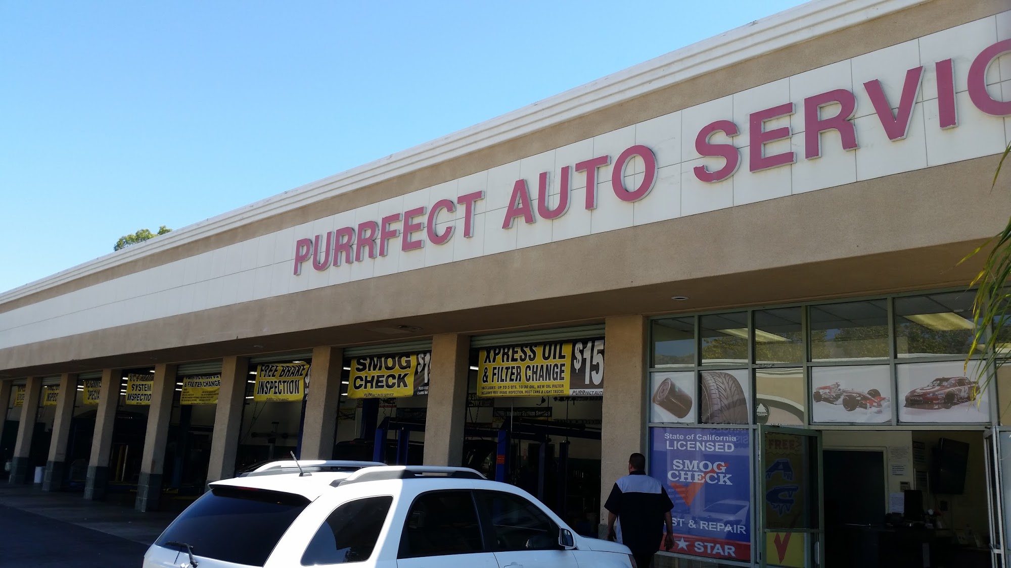 Purrfect Auto Services