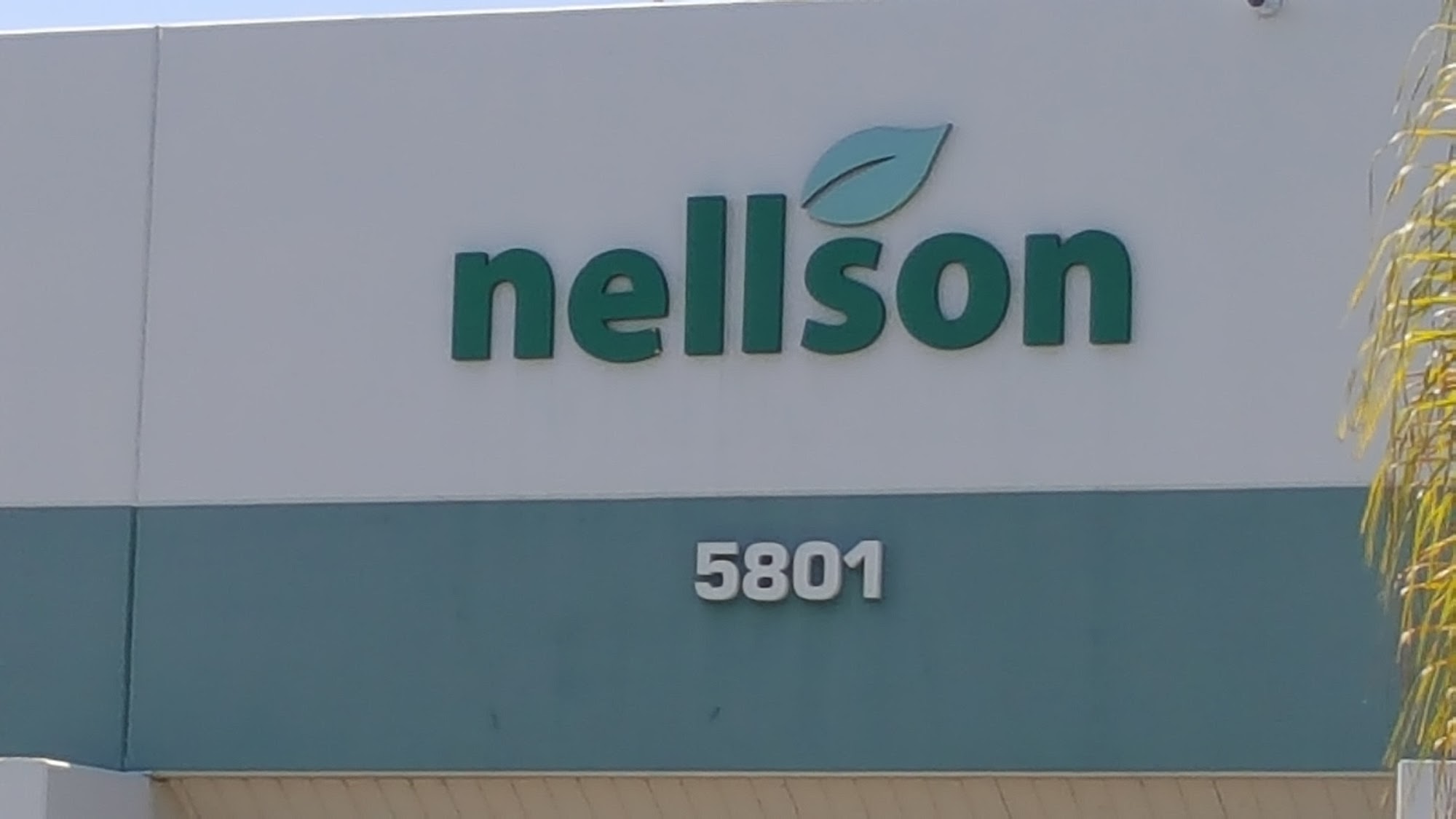 Nellson Candies Inc