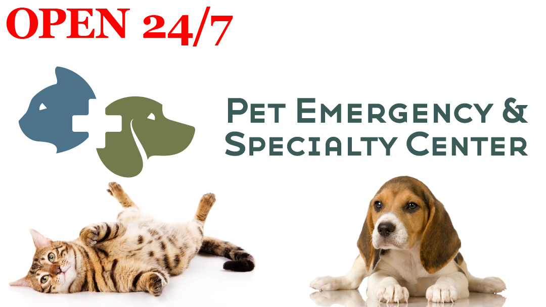 Pet Emergency & Specialty Center - La Mesa
