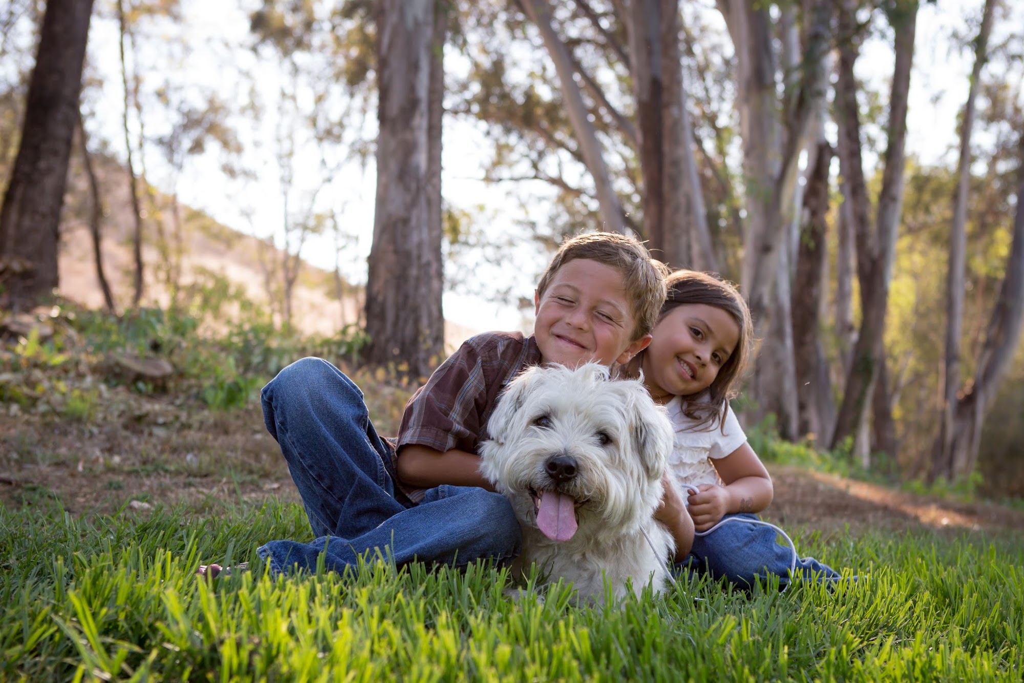 Rancho Viejo Animal Hospital