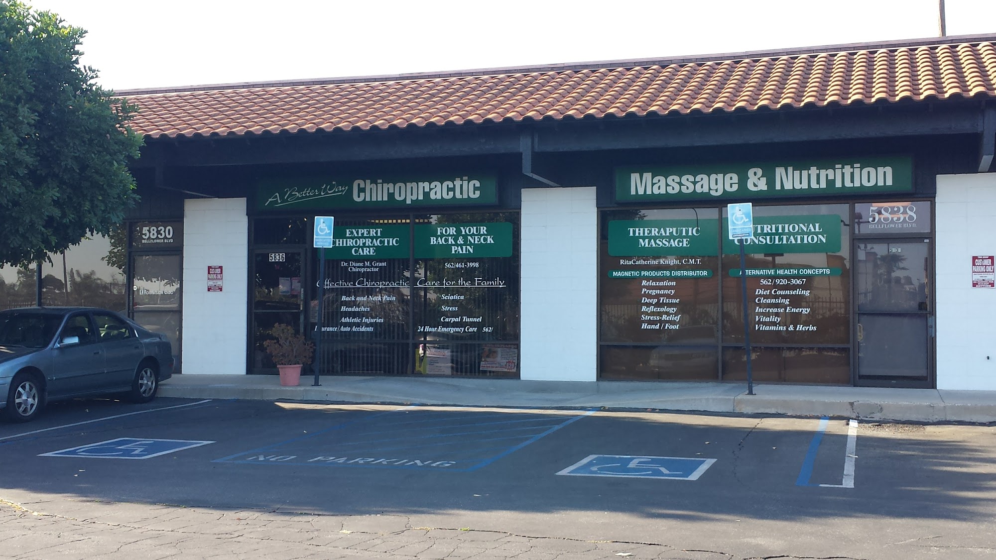 Chiropractic, Massage, and Nutrition