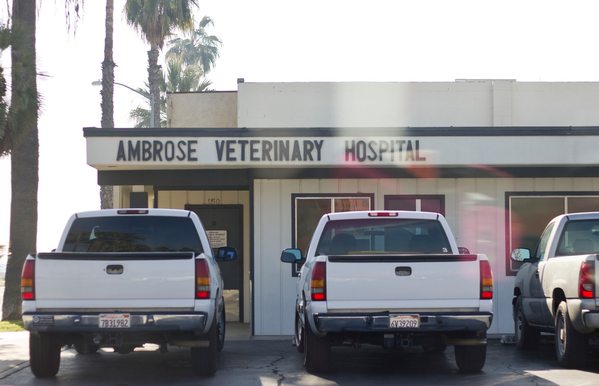 Ambrose Veterinary Hospital
