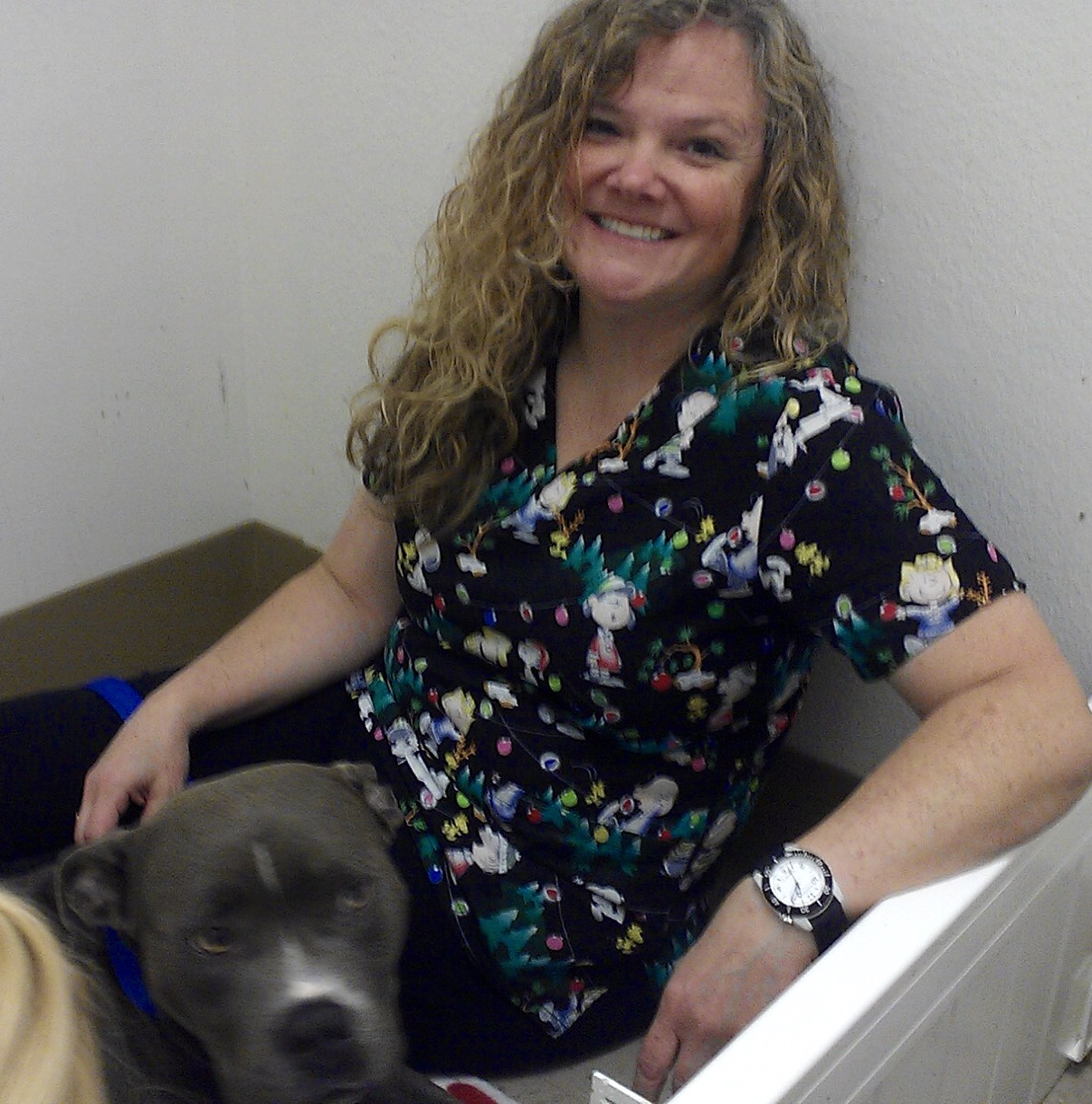 Mission Park Pet Hospital