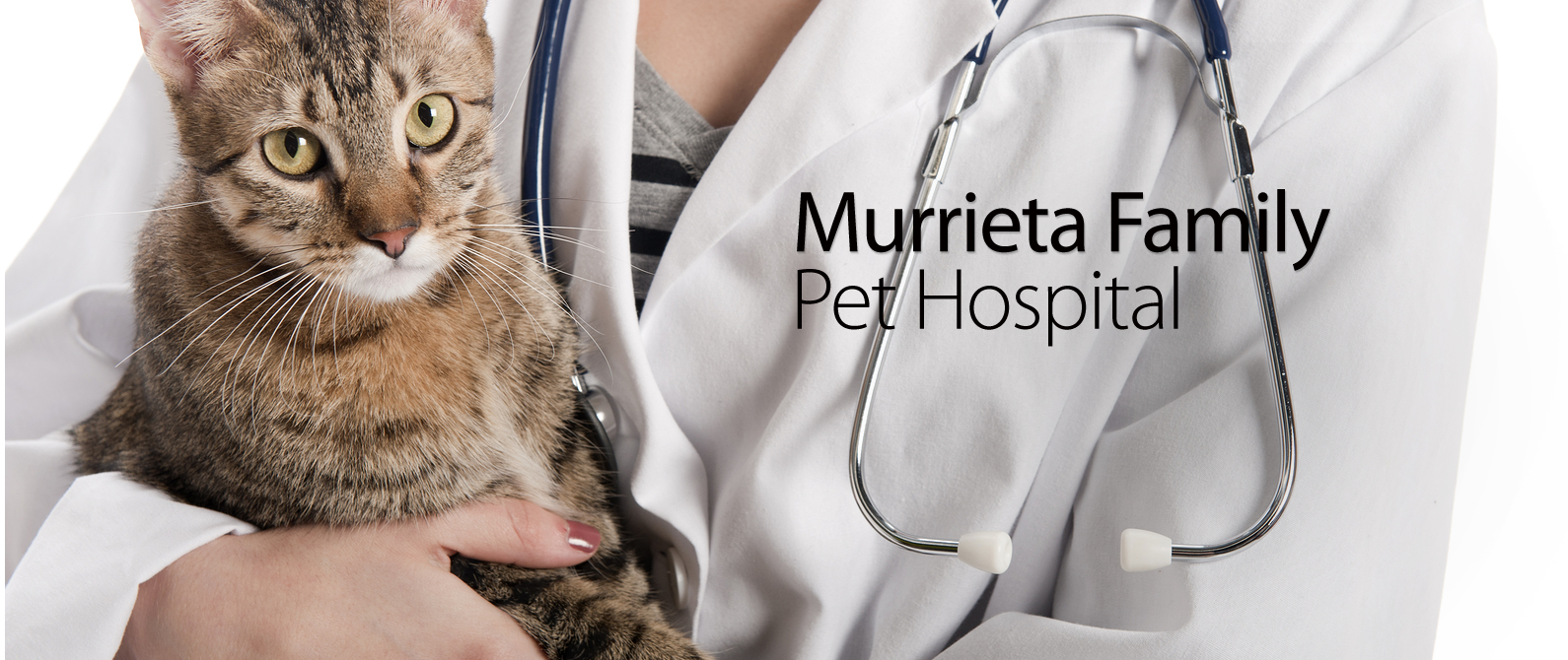 Murrieta Family Pet Hospital