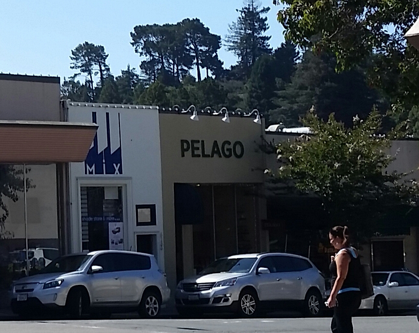 Pelago