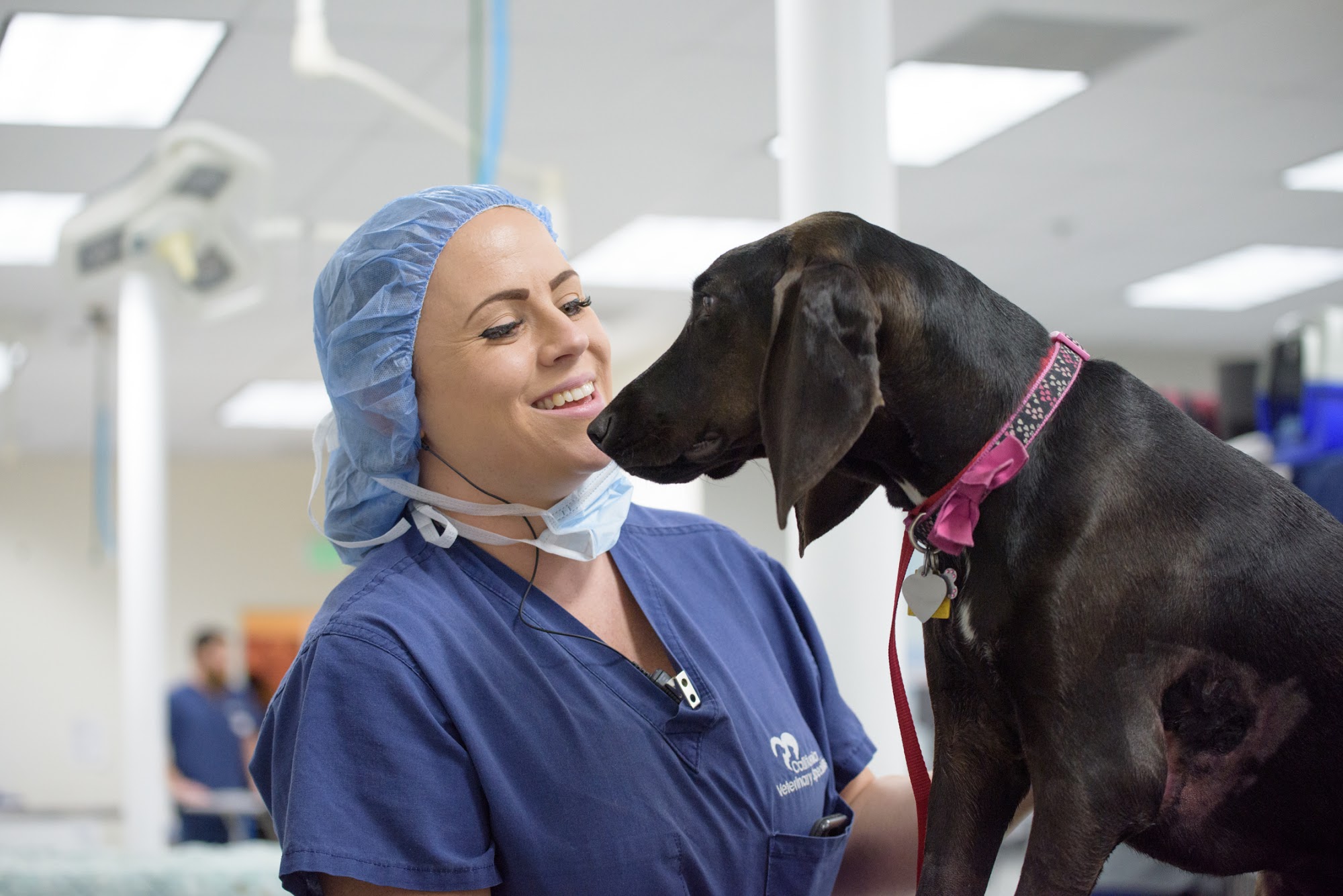 VCA California Veterinary Specialists-Ontario