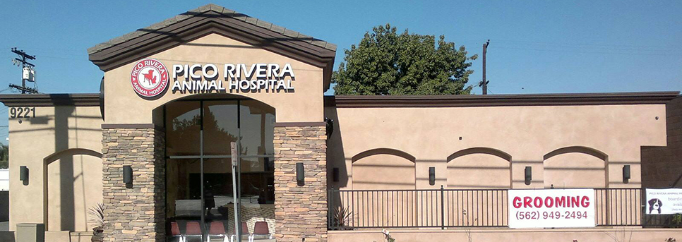 Pico Rivera Animal Hospital