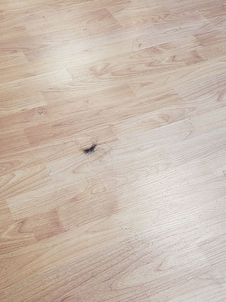 Photo credit: 