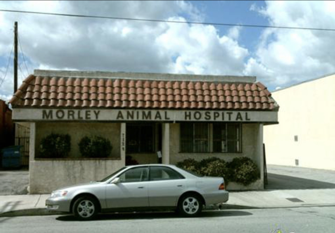 Morley Animal Hospital