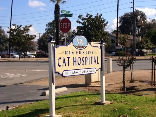 Riverside Cat Hospital