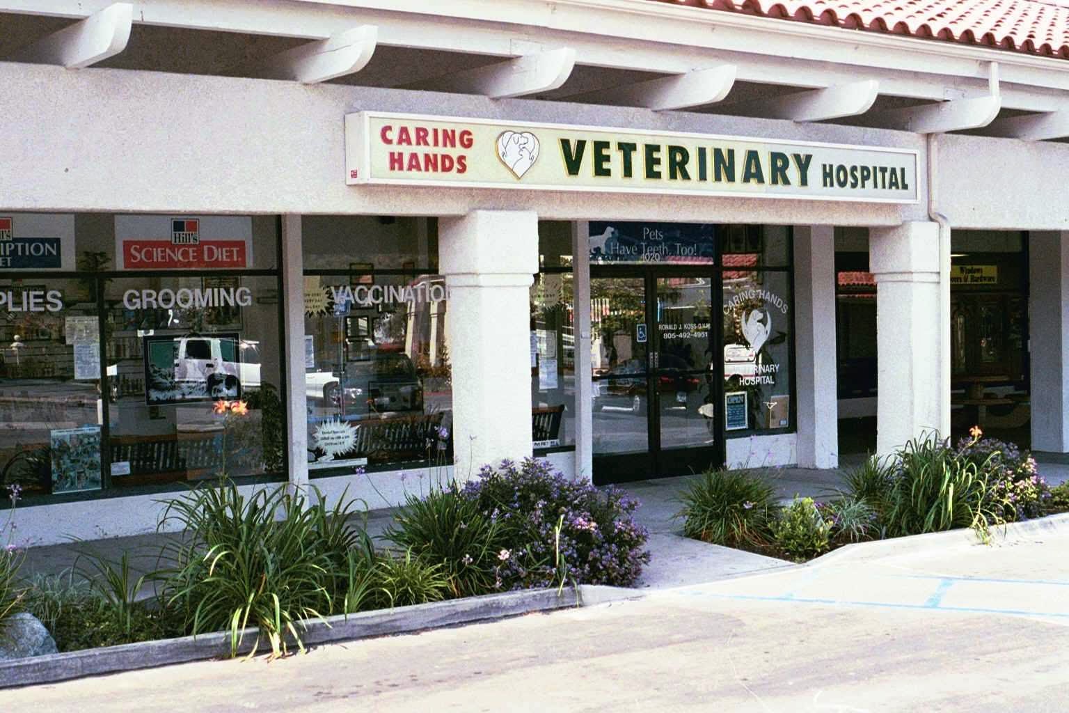 Caring Hands Veterinary Hospital, A Thrive Pet Healthcare Partner