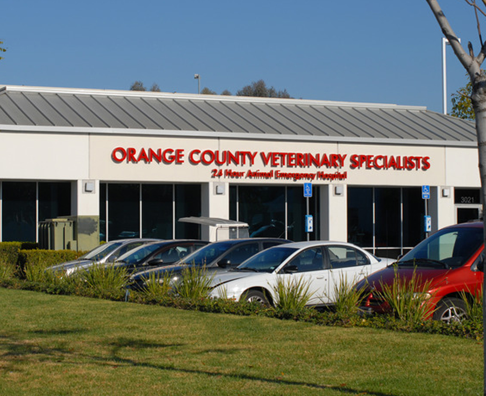 VCA Orange County Veterinary Specialists