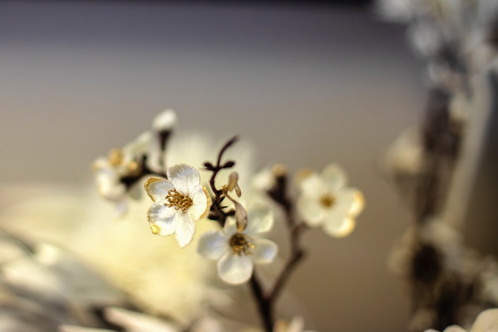 Photo credit: 