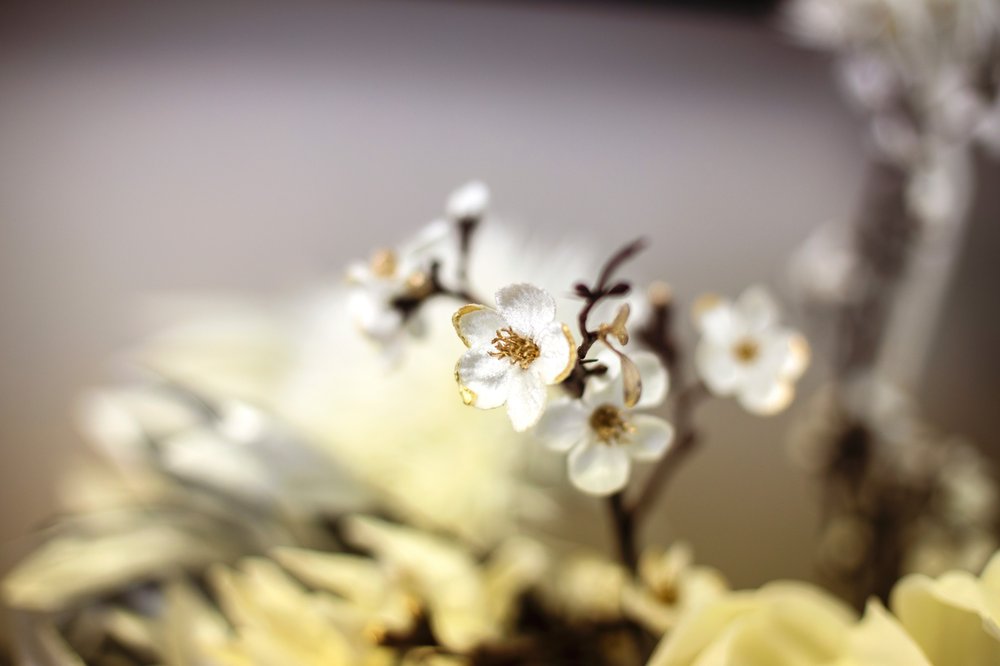 Photo credit: 