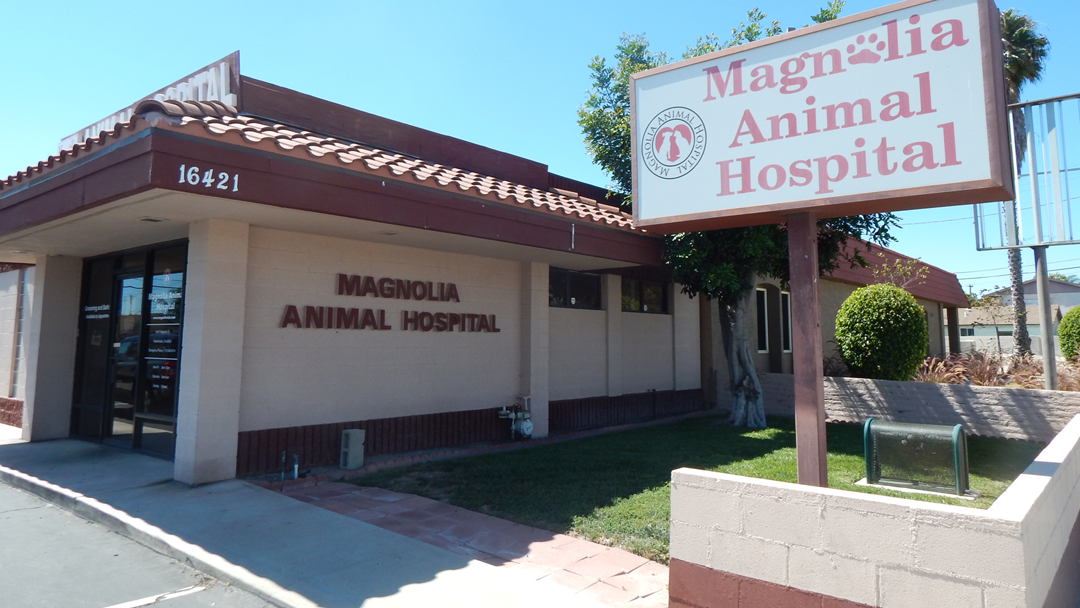 Magnolia Animal Hospital