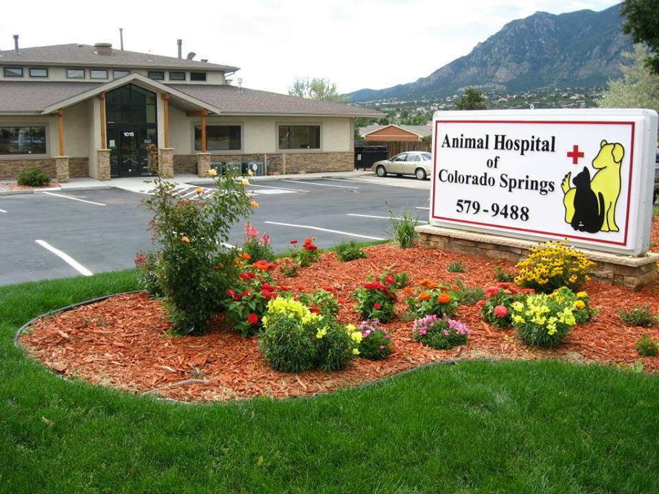 Animal Hospital of Colorado Springs