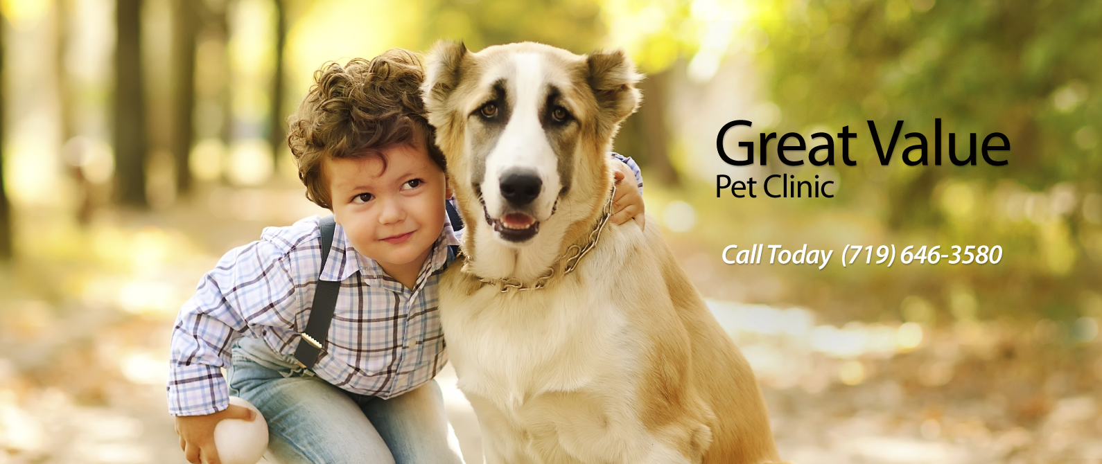 Great Value Pet Clinic, LLC