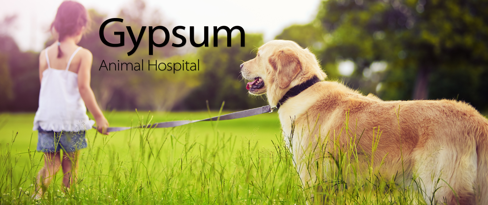 Gypsum Animal Hospital